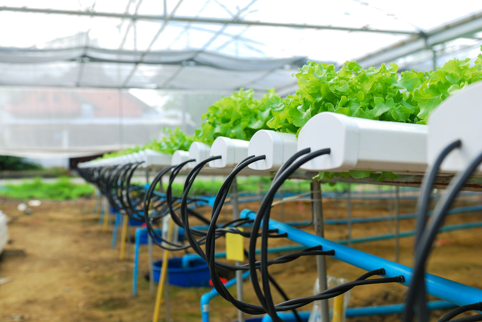 TIC aplicada a la Agricultura intensiva
