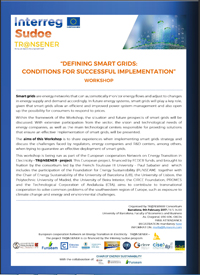 Imagen del folleto informativo sobre el workshop de Smart Grids de Tr@ansener