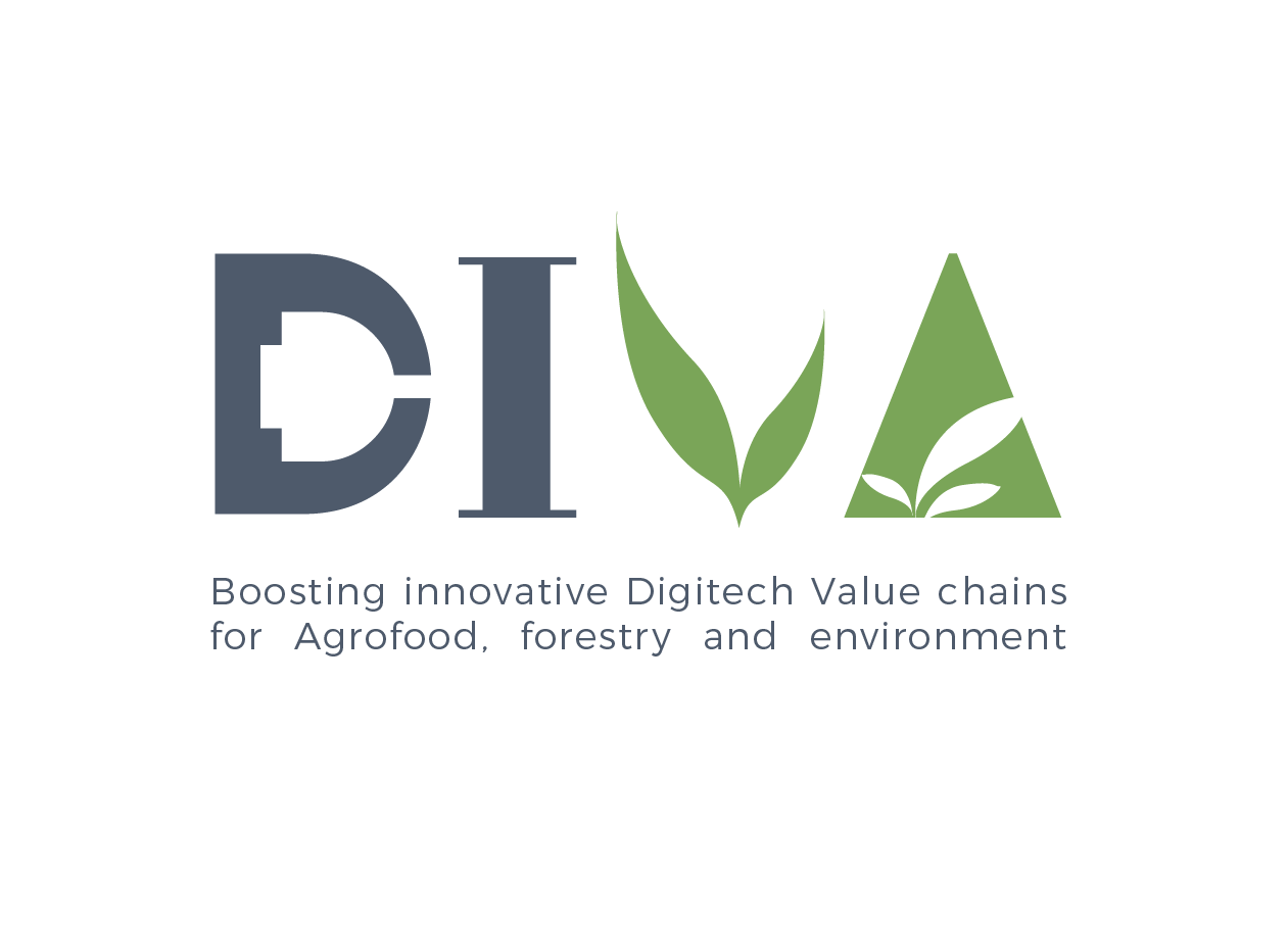 logo diva