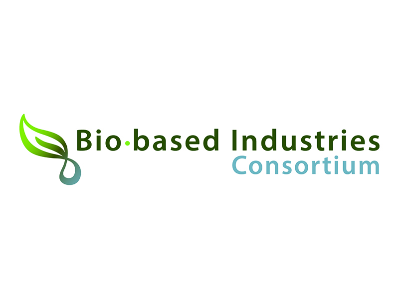 BIC logo - high res - 800x600