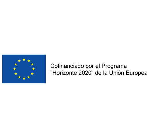 co-funded-h2020-horiz_es