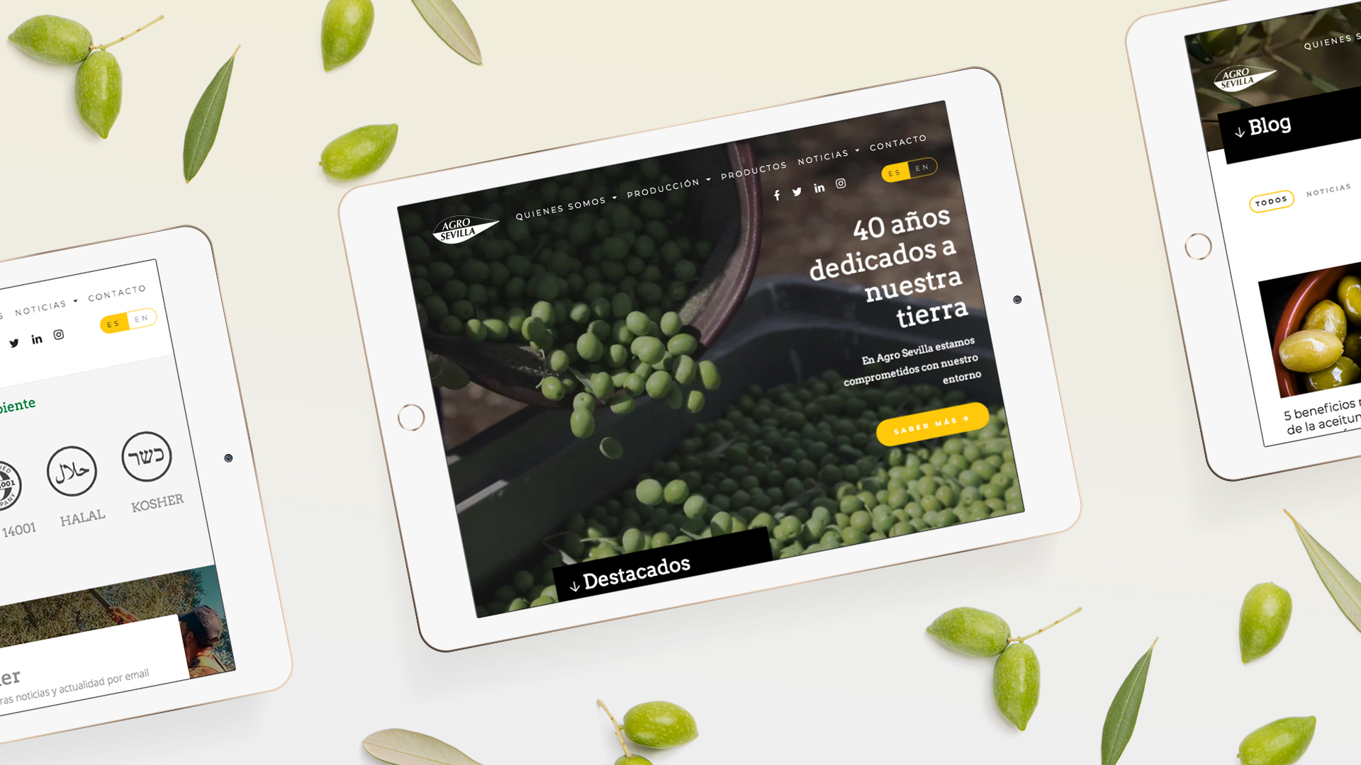 presentacion_web_agro_sevilla_