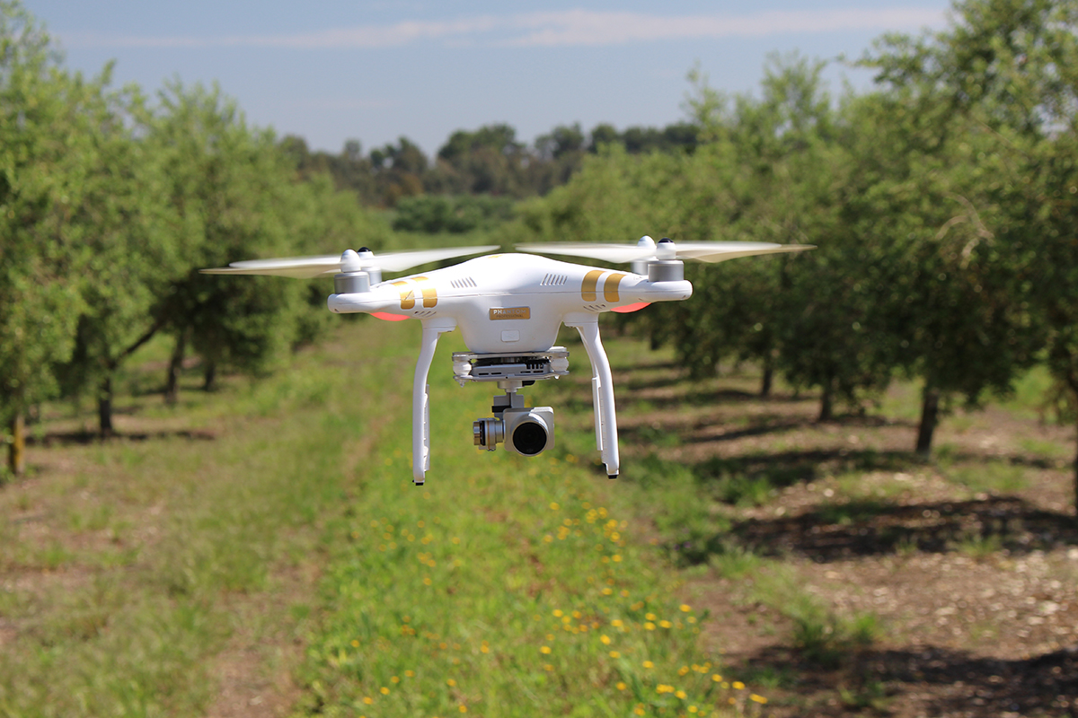 Proyecto ICT AGRI FOOD