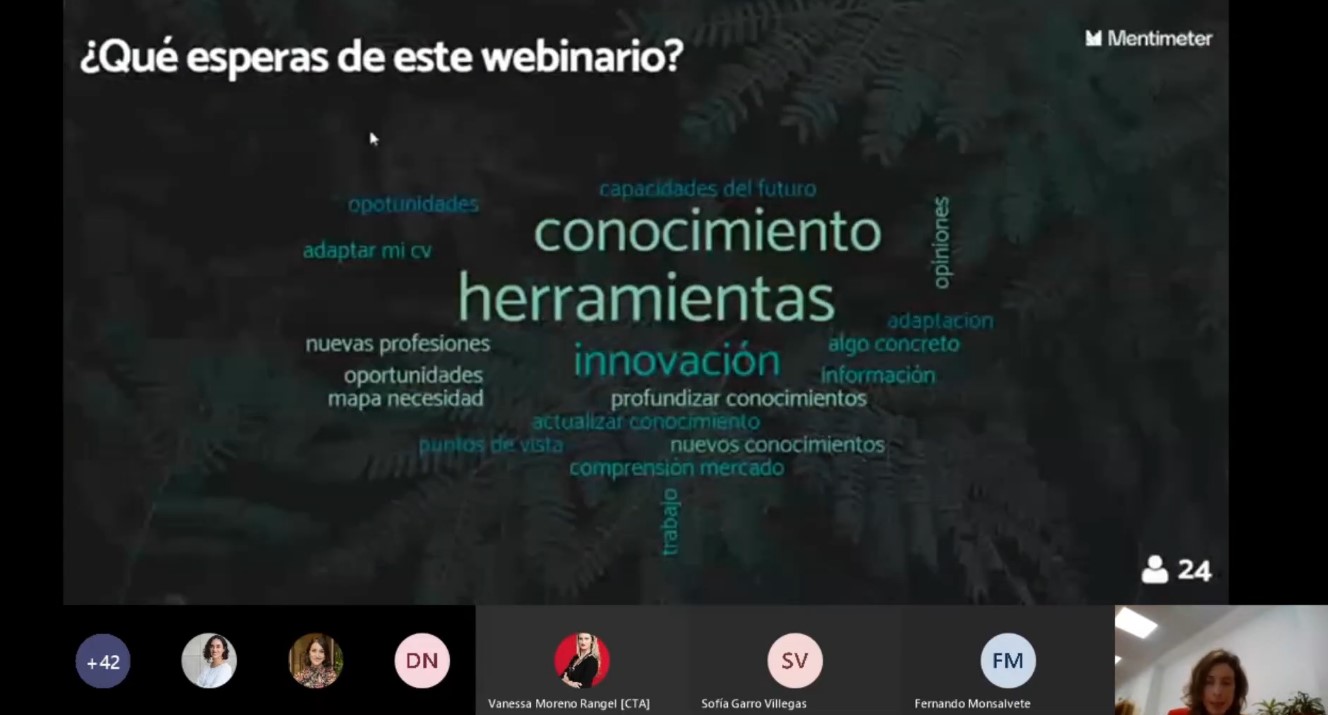 Imagen durante webinario