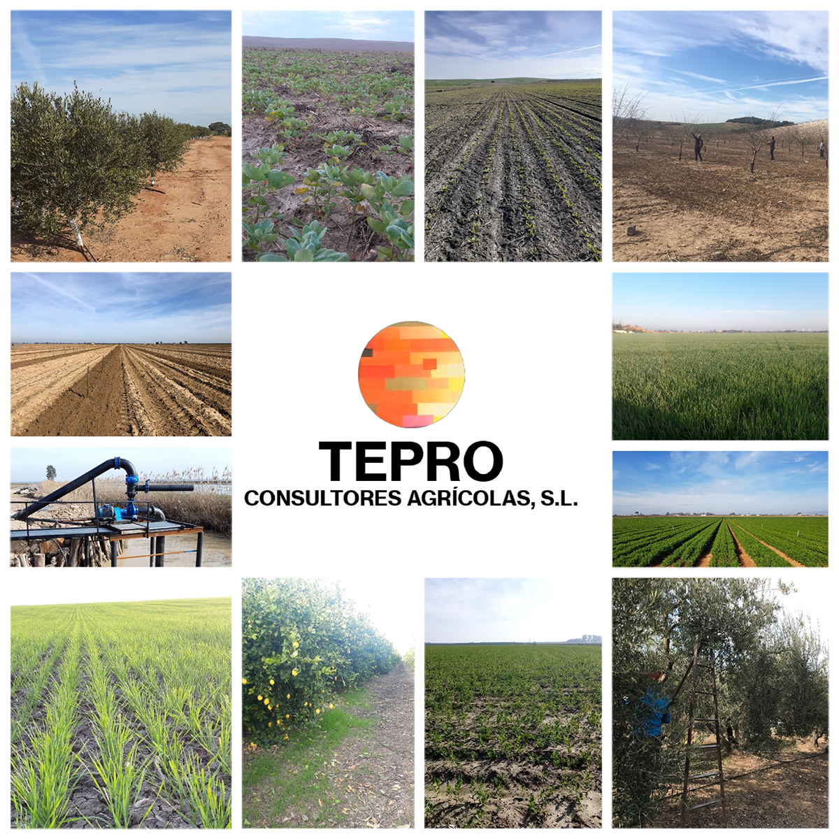 210311_tepro_4