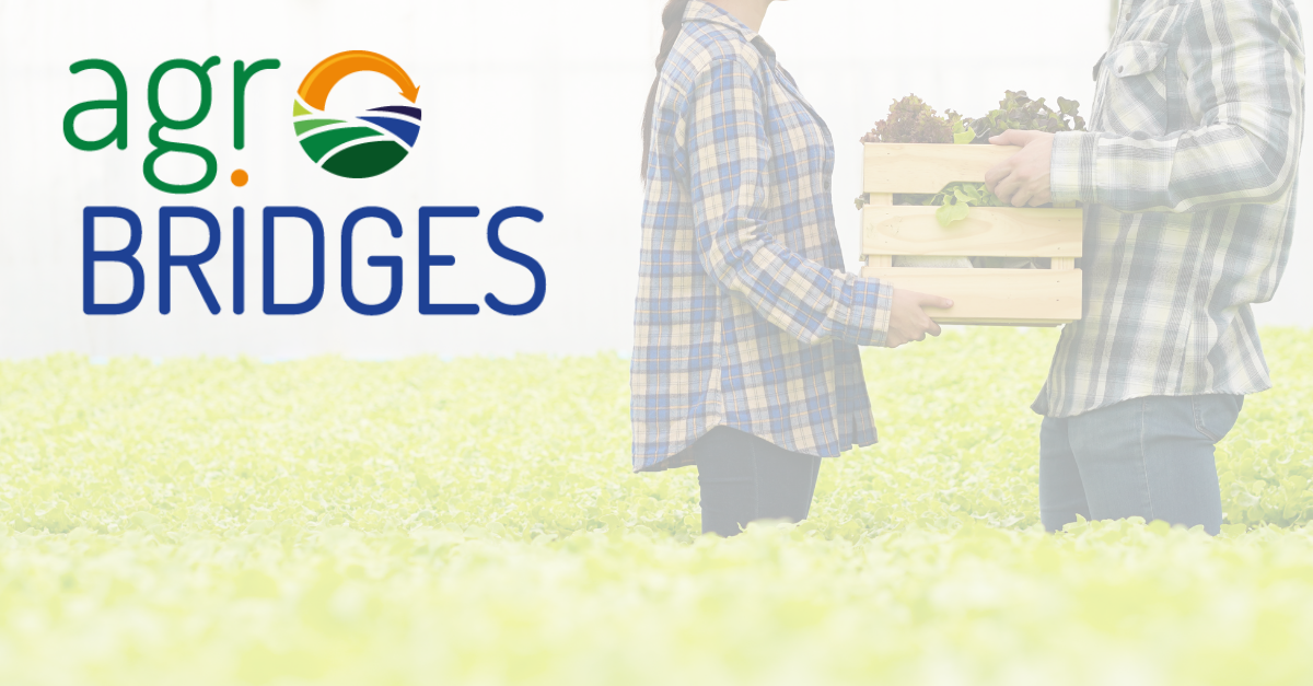 Agrobridges