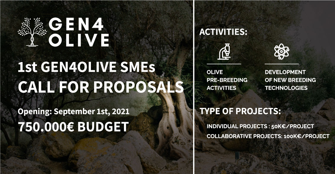 Convocatoria proyecto Gen4olive