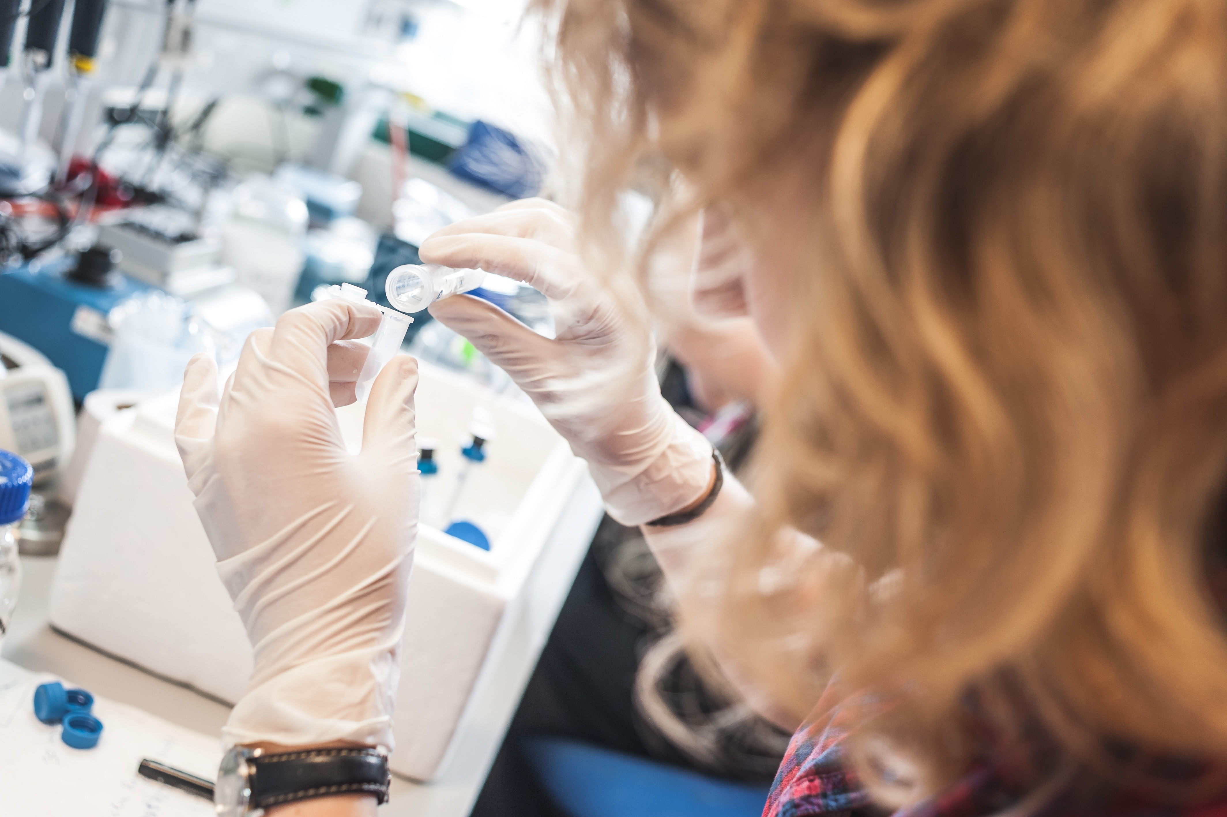 LaboratoriogrupodeinvestigacionUPO2