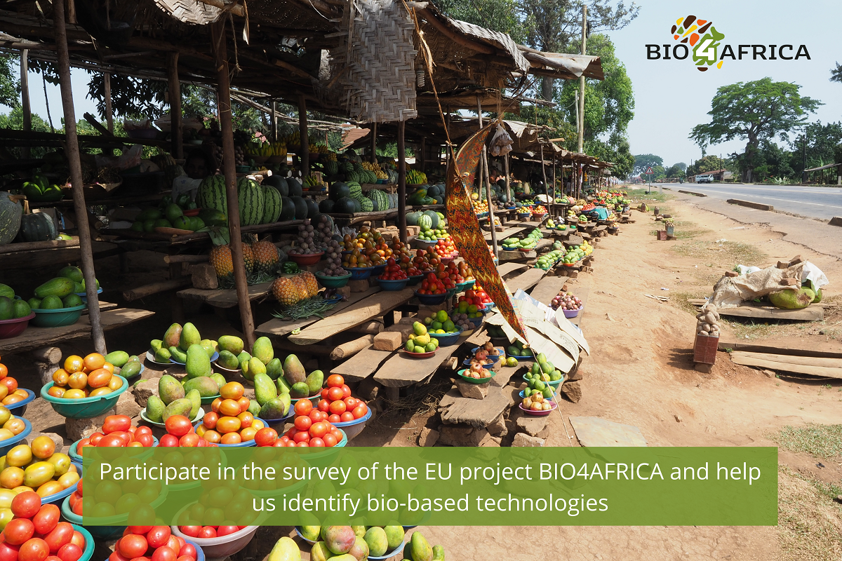 Survey BIO4AFRICA_v2