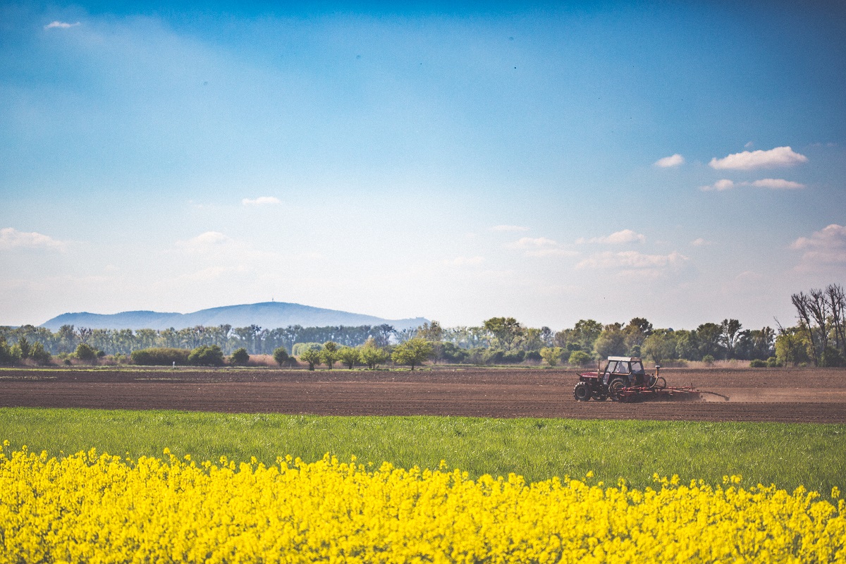 agrobridges2