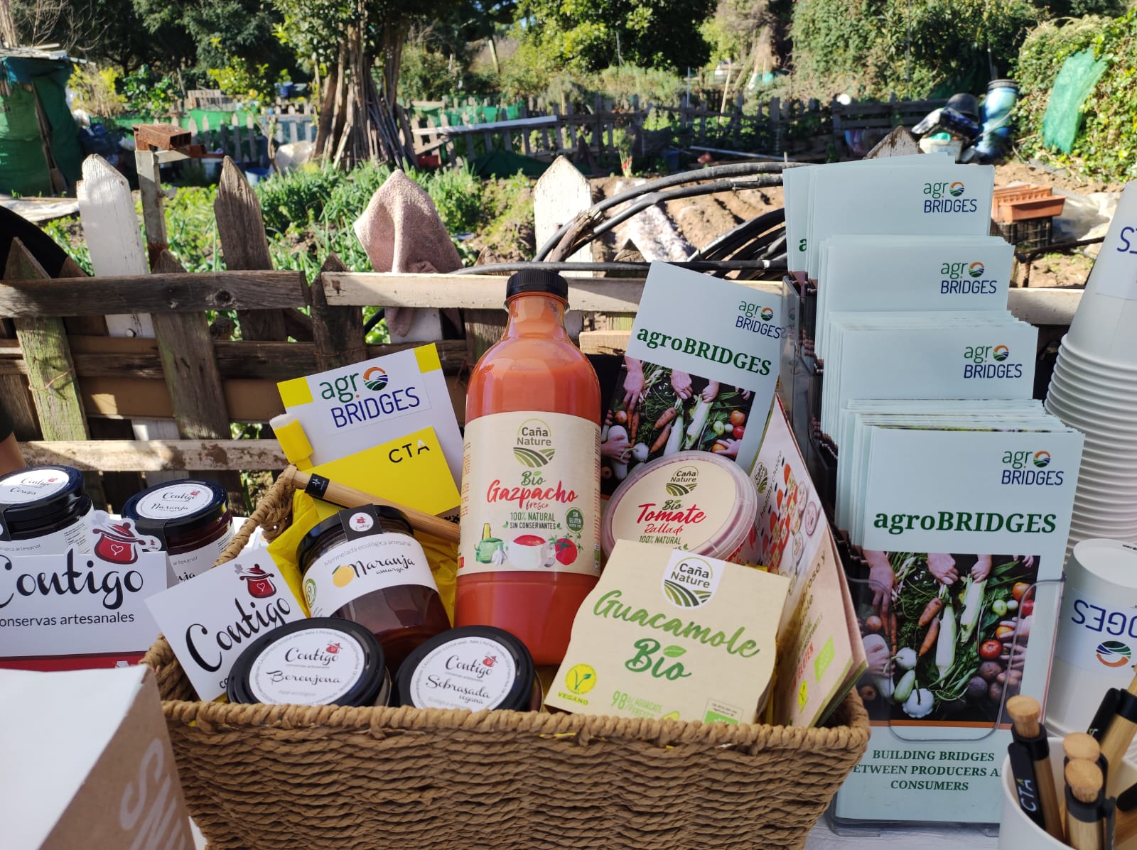 230128 Evento AgroBRIDGES 4