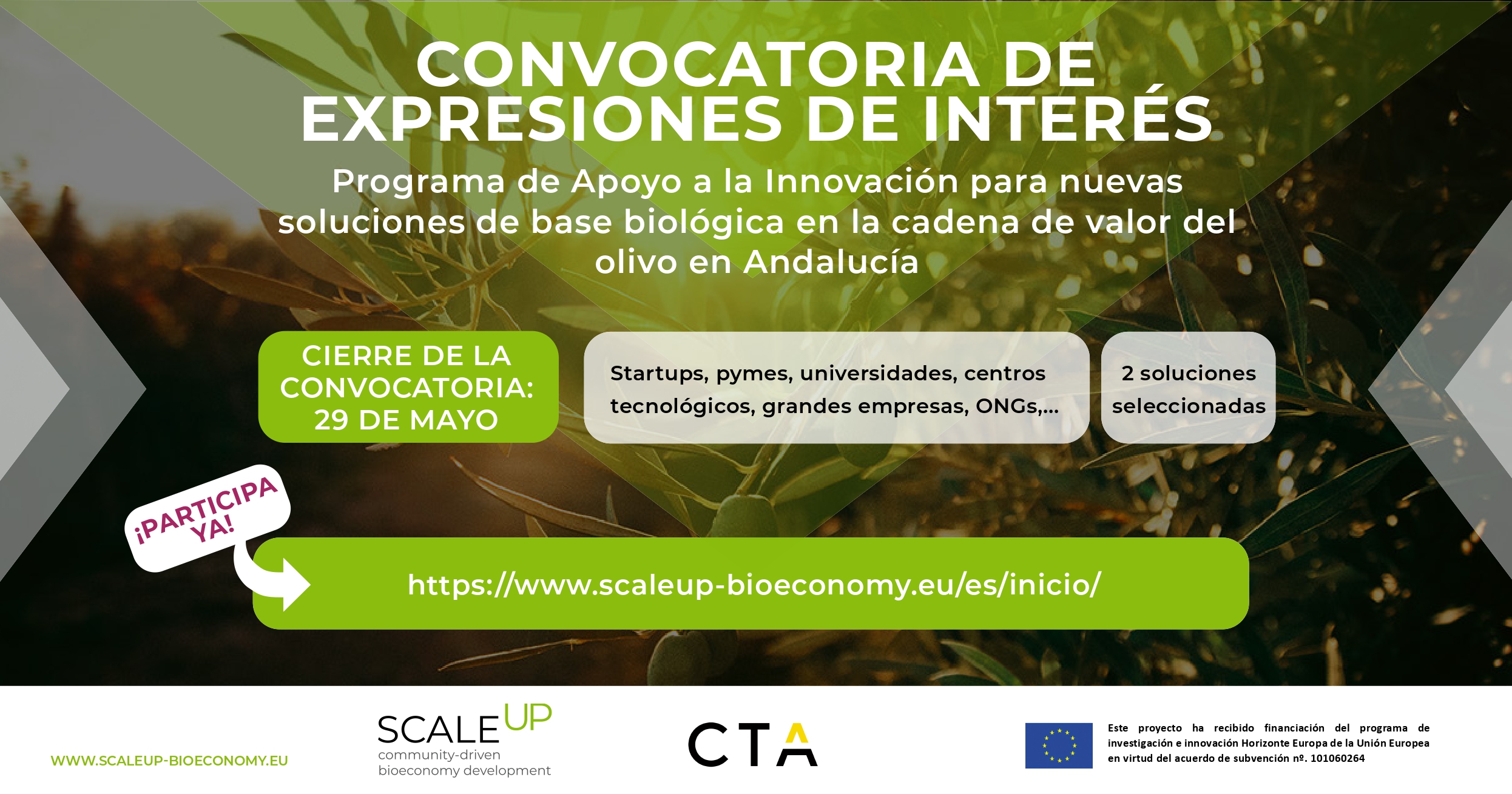 230417_SCALE-UP Convocatoria regional andaluza