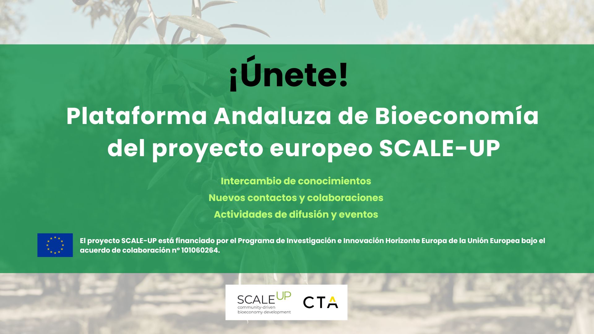 230728_SCALEUP Plataforma