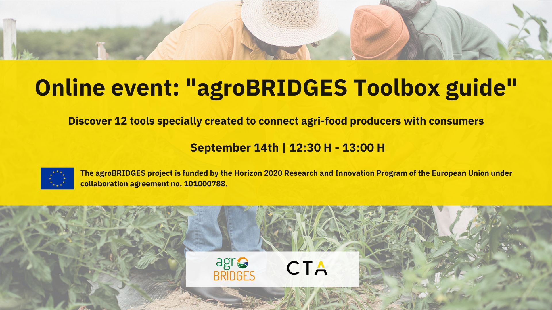 230811_AgroBRIDGES toolbox guide