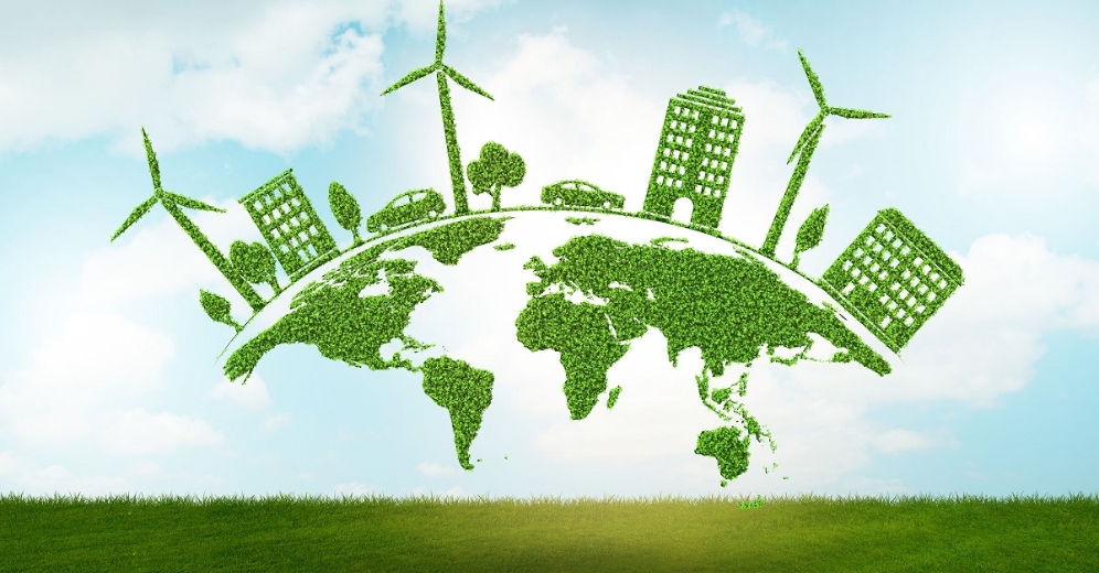 CTA publishes a paper on sustainability in bioenergy production