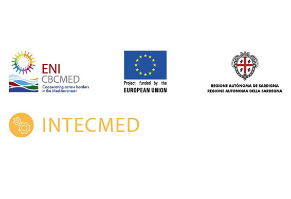 intecmed