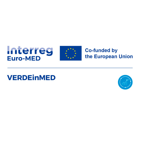 Logo proyecto VERDEinMED CTA
