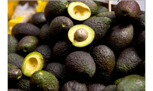 Aguacates del proyecto Plaguacat