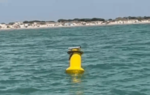 Boya Seactive en el mar